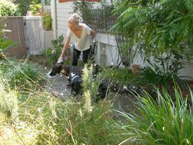 2024-02-18 Alison and the dogs.jpg